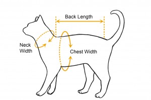cat_sizing_graphic_FULLSIZE